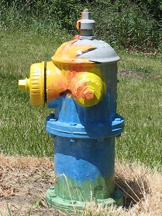 Flame - 1311 S Ardmore (2)